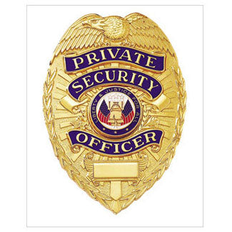 PRIVATE SECURITY & SURVEILLANCE